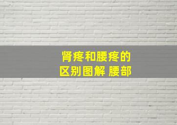 肾疼和腰疼的区别图解 腰部